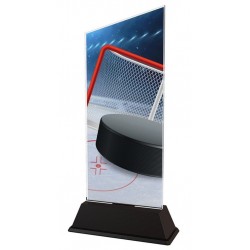 Akrylátová trofej CAS0124 | Hokej