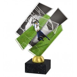 Akrylátová trofej ACZM13 | Fotbal