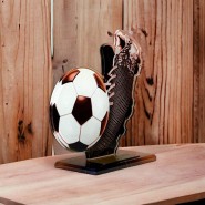 Akrylátová trofej AWF M66 | Fotbal