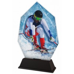 Akrylátová trofej ACSC001M26 | Sjezdové lyžování