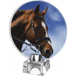 Skleněná trofej CR4043M37 | Jezdectví