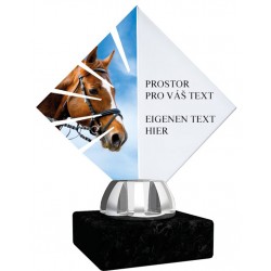 Akrylátová trofej ACL15NM20 | Jezdectví