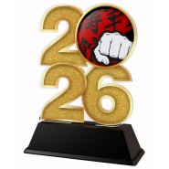 Akrylátová trofej C2026M14 | Bojová umění