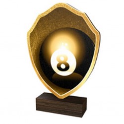 Dřevěná plaketa TFRW250 | Billiard