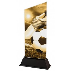 Akrylátová trofej CAS0101 | Fotbal