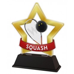 Akrylátová trofej STAR001M05 | Squash