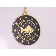 Kovová medaile MDM05M36 | Rybaření