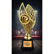 Designová trofej AVR1M14 | Bojová umění