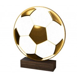 Dřevěná plaketa WF255 | Fotbal