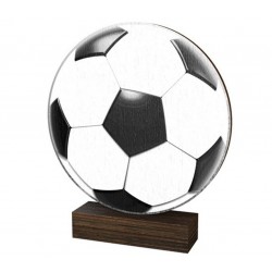 Dřevěná plaketa WF256 | Fotbal