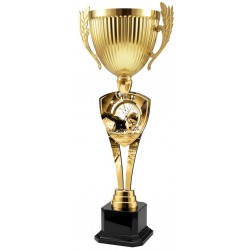 Trofej ACUPMR2026M09 | Plavání