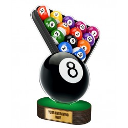 Akrylátová trofej TL2023222 | Billiard